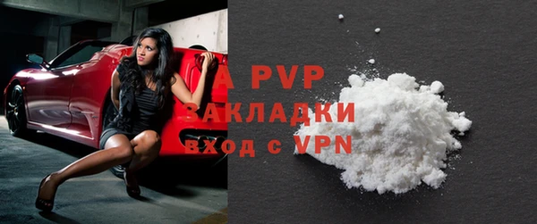 хмурый Абаза