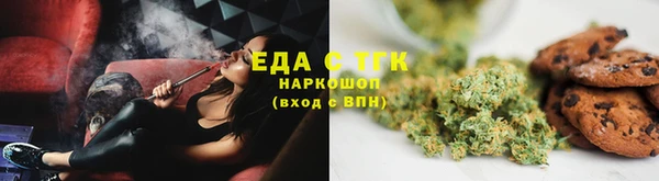 хмурый Абаза