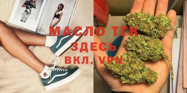 хмурый Абаза