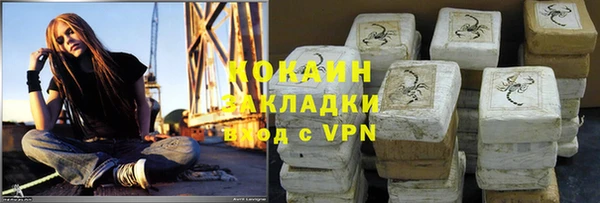 хмурый Абаза
