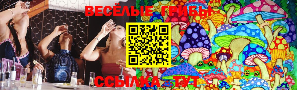 Псилоцибиновые грибы MAGIC MUSHROOMS  Вход с VPN  Псилоцибиновые грибы Psilocybe  Дубна 