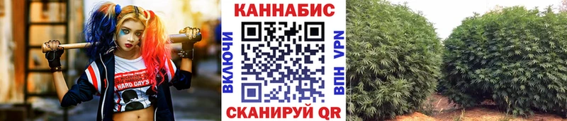 Канабис VHQ  Дубна 