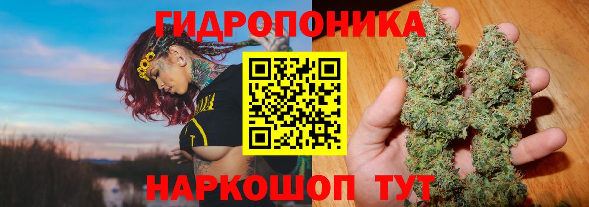 Бошки Шишки Bruce Banner  Вход с VPN  Дубна  Шишки марихуана Amnesia 